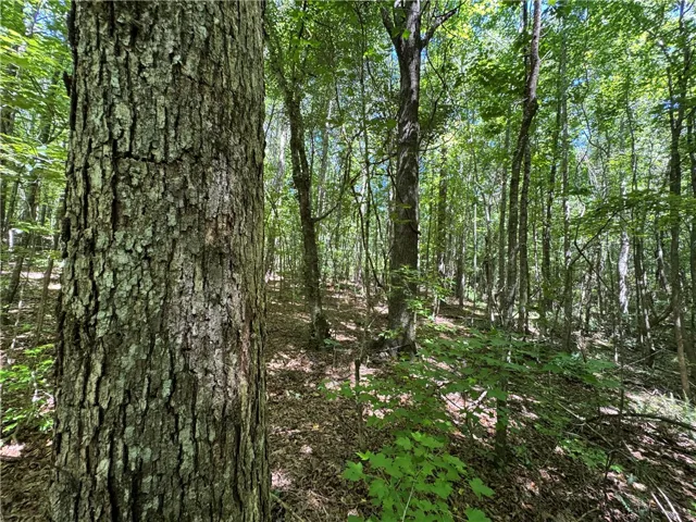 24301 Veterans Memorial N/a, Camp Hill, Alabama 36850