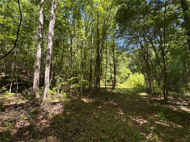 24301 Veterans Memorial N/a, Camp Hill, Alabama 36850