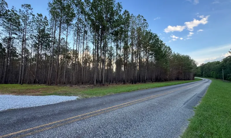 0 Barron’s Bridge N/a, Dadeville, Alabama 36853