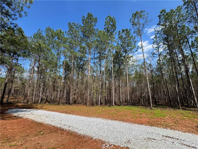 0 Barron’s Bridge N/a, Dadeville, Alabama 36853