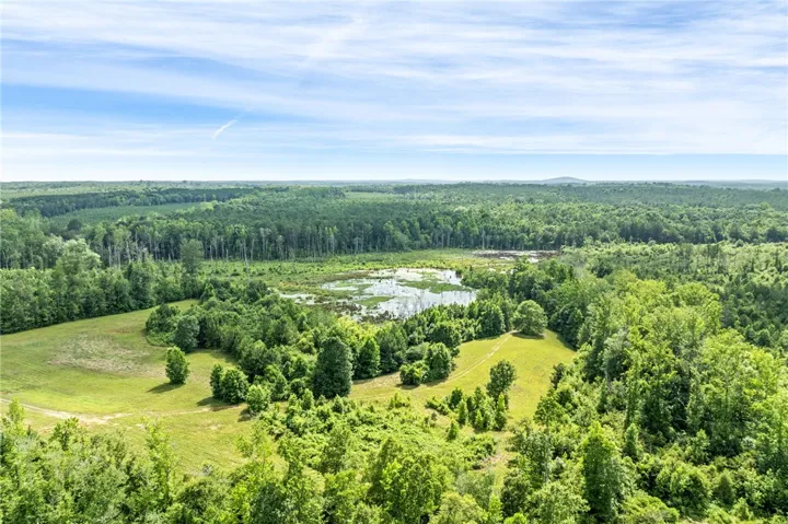 Discover vast, undeveloped land featuring verdant forests and a tranquil pond, offering serene natural beauty.