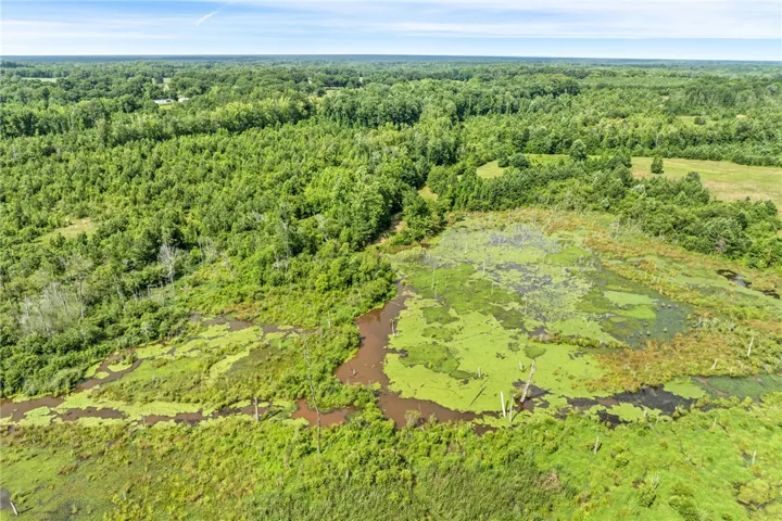 Vast natural landscape showcasing abundant trees, open marshland, and a serene pond for ultimate privacy.