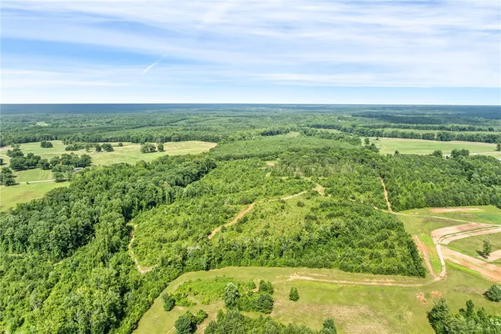 Vast green acreage offers abundant natural beauty and serene privacy.
