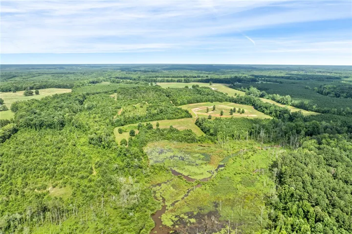 A vast, lush landscape unfolds, offering a harmonious blend of dense woodland and open clearings.