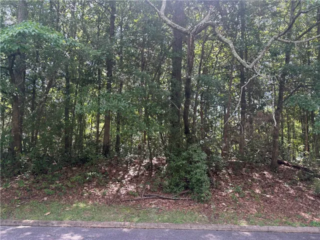 Mature trees define the borders of this private, undeveloped lot.