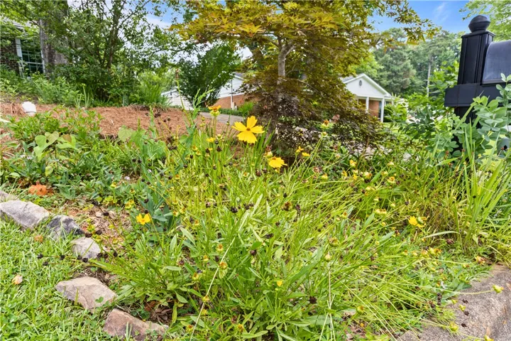317 Windsor Drive, Auburn, Alabama 36832