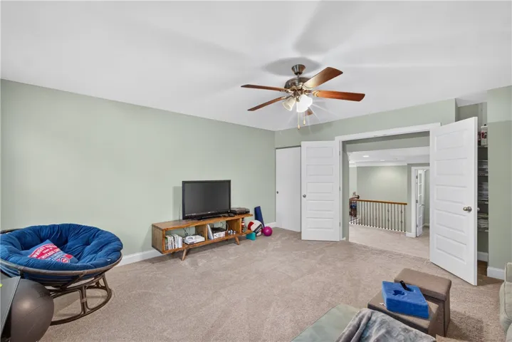 5 bedroom or media room
