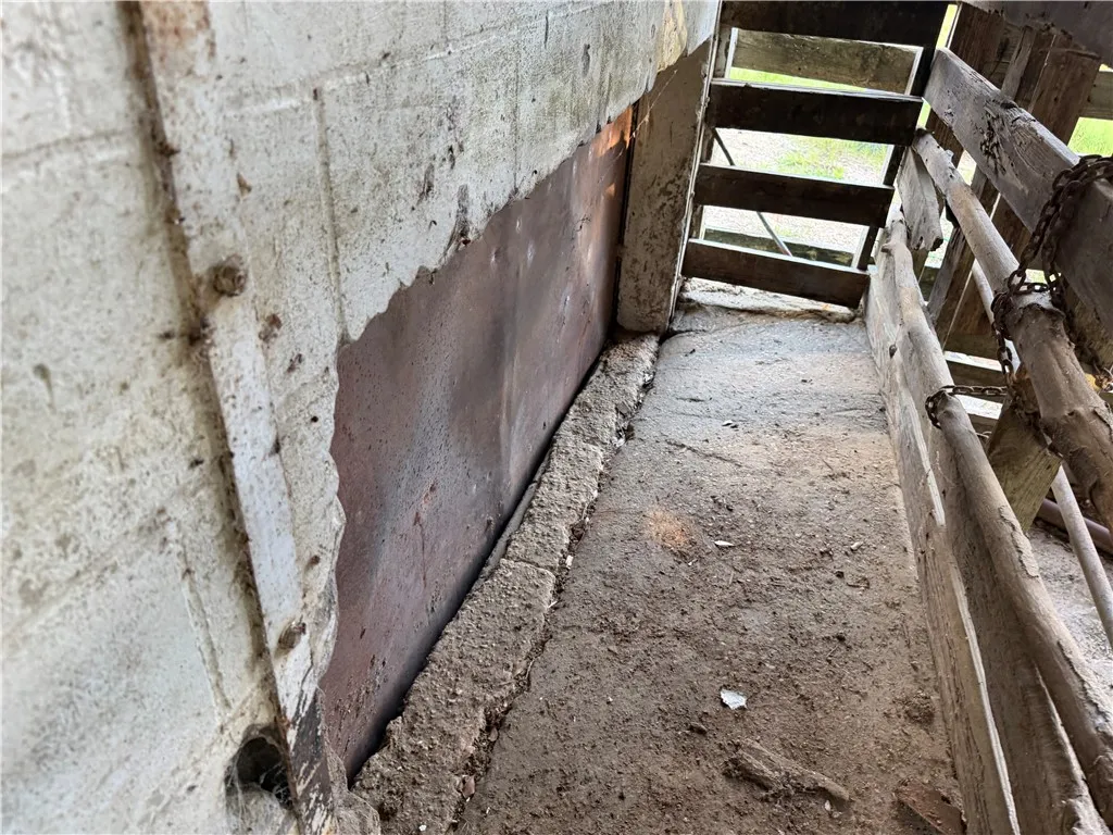 The rustic steps lead down to a concrete floor, framed by a textured concrete wall.