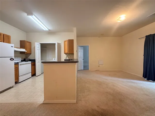 An open-concept living space with a functional kitchen and a cozy carpeted area.