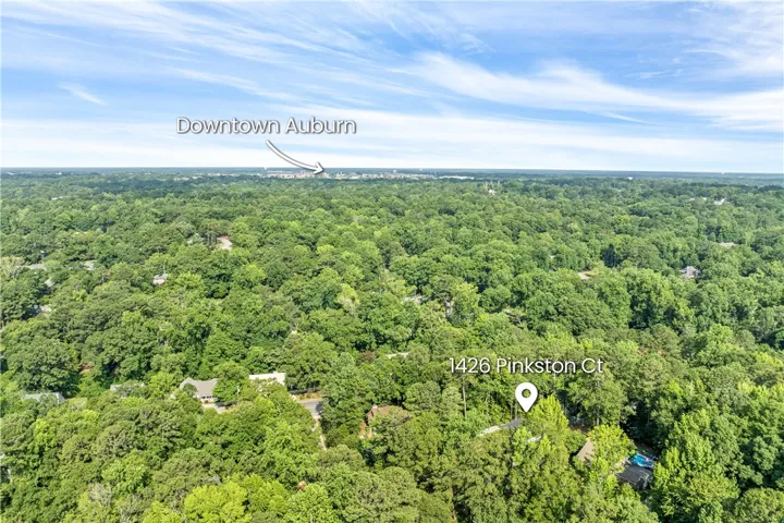 1426 Pinkston Court, Auburn, Alabama 36830