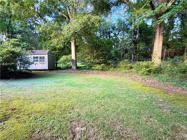 The way the oaks over hang the backyard creates green garden room just outside the house.