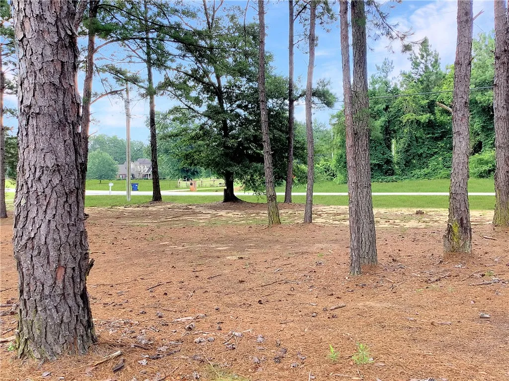Mature trees and lush greenery offer a secluded setting for this property, with a distant house visible.