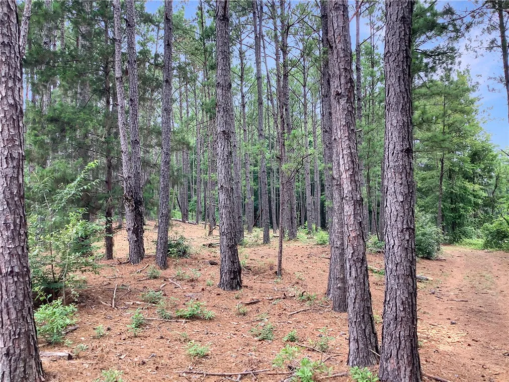 A tranquil wooded lot offers a private, verdant setting for your future home.