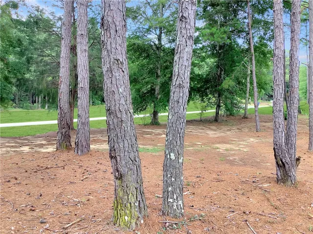 Mature trees frame a verdant landscape with a winding pathway, offering a serene natural setting.
