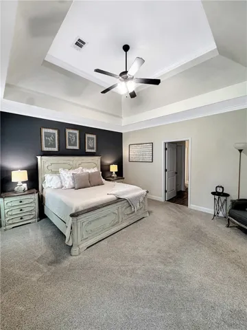 A tranquil primary suite features a majestic tray ceiling and soft carpeting underfoot.