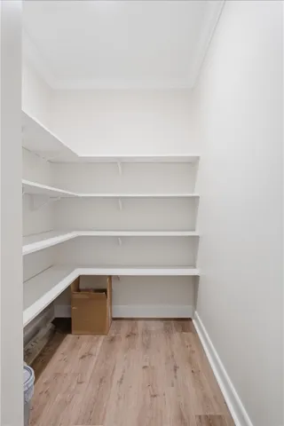 Well-appointed pantry with ample shelving for all your storage needs.