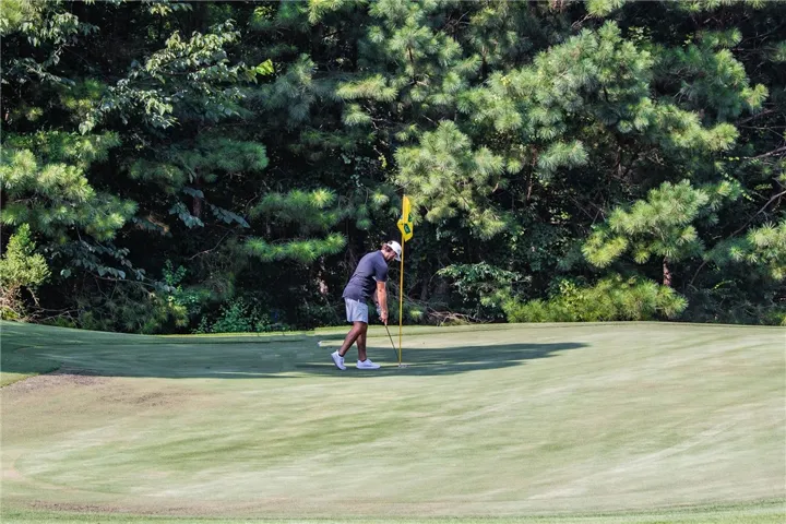 A golfer sinks a putt on a well-maintained green, framed by dense, mature trees.
