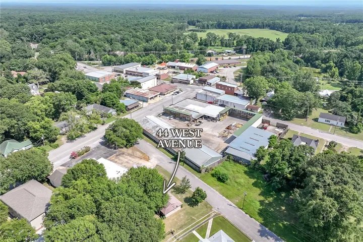 An aerial perspective reveals a vibrant neighborhood with verdant tree canopies surrounding mixed-use properties.