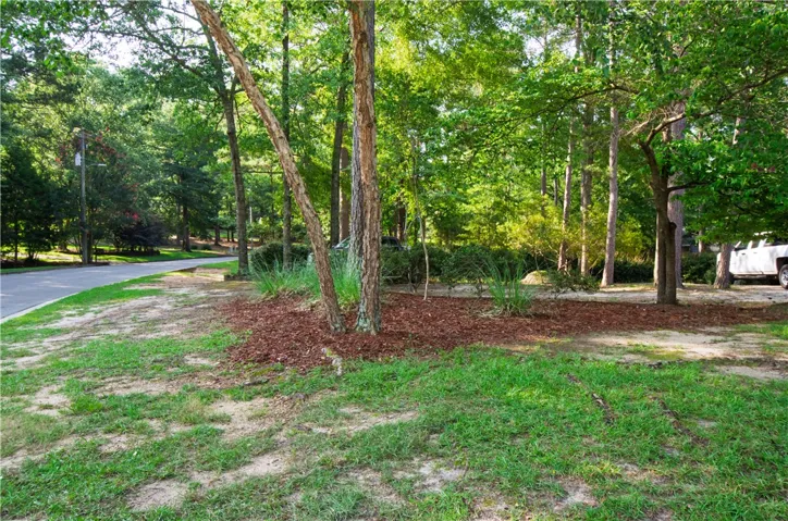 2315 Springwood Drive, Auburn, Alabama 36380