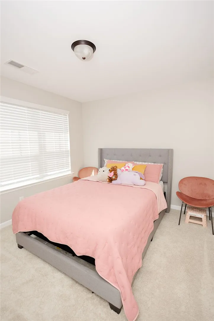 A well-lit room featuring soft carpeting and a window offering natural illumination.