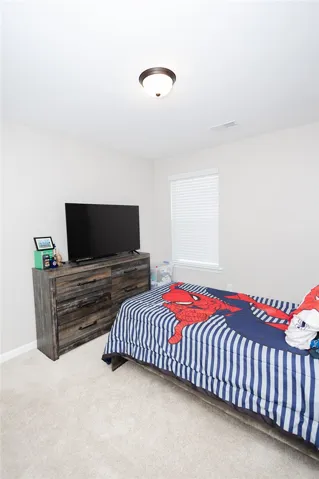 Well-lit sleeping quarters with plush carpeting provides a tranquil retreat.