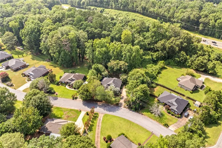 An aerial perspective reveals a serene residential street winding through abundant greenery and neatly kept yards.