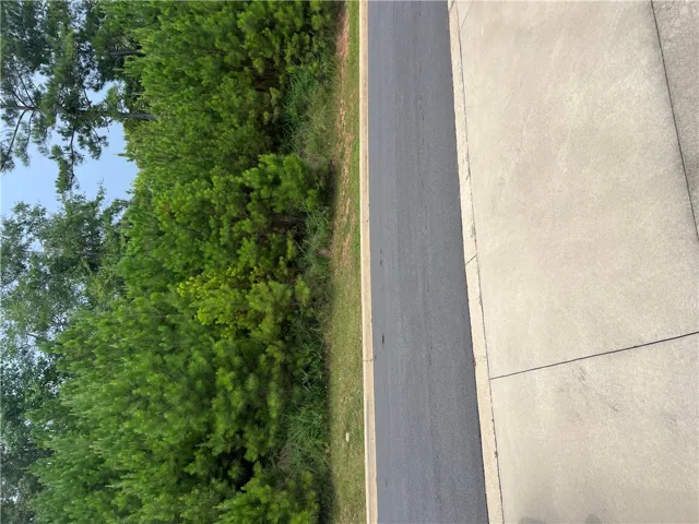 Green landscaping create privacy in the rear as you enter and leave the spacious garage.