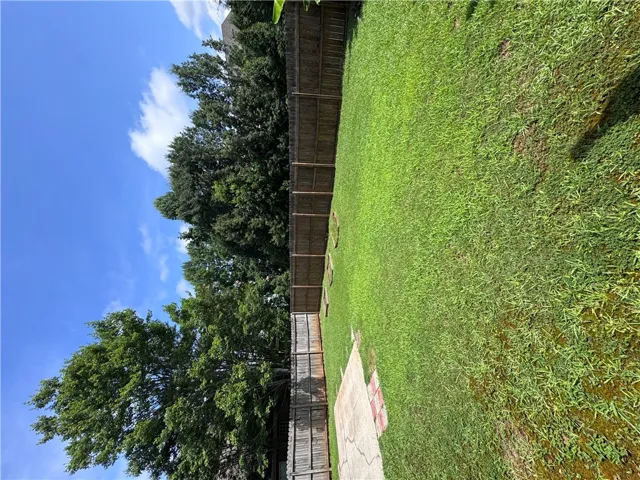 Green yard bordered by a wooden fence and mature trees under a clear sky.