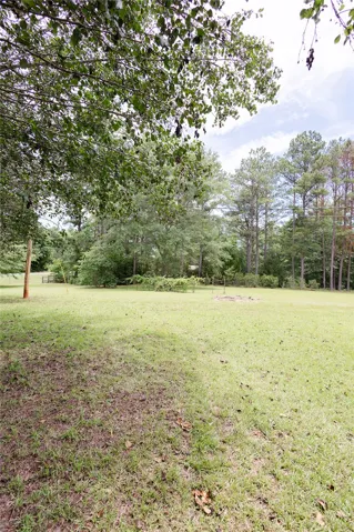 A spacious yard bordered by verdant trees, offering ample outdoor potential.