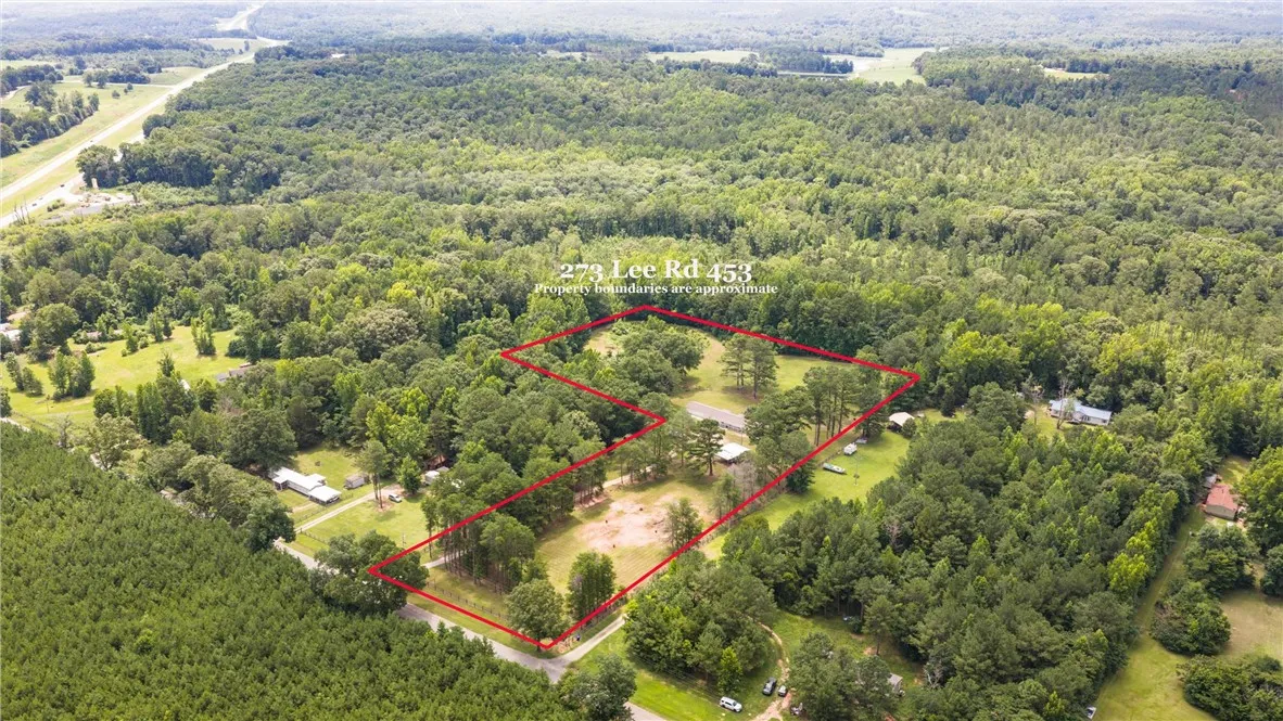 A sweeping aerial perspective reveals a vast, verdant lot nestled amongst towering trees and open pastures.