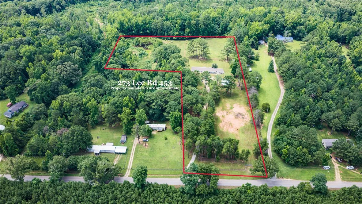 An aerial perspective showcases a generously sized, tree-dotted lot with natural views.