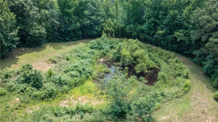 Discover a tranquil pond surrounded by mature woodland, offering natural beauty and seclusion.