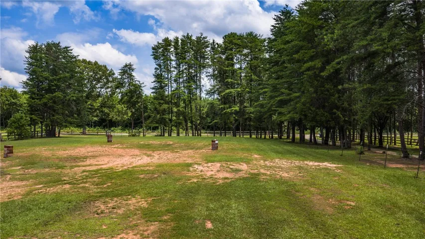 A spacious, verdant expanse bordered by tall, mature trees under a clear blue sky.