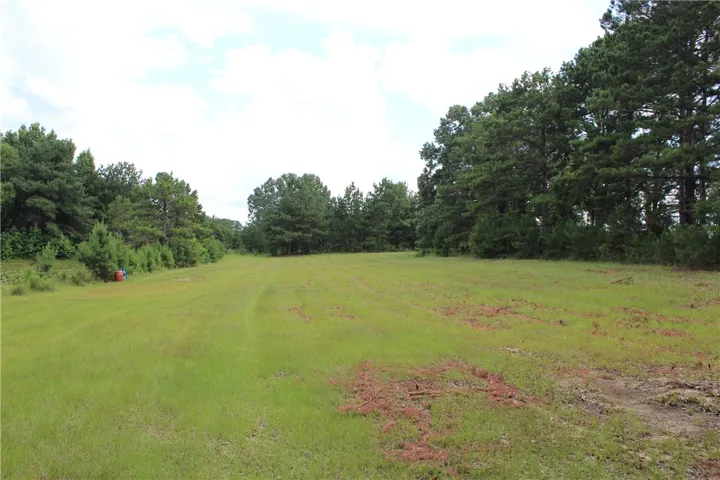 Green pastures, abundant with natural beauty, offer a serene retreat for peaceful living.