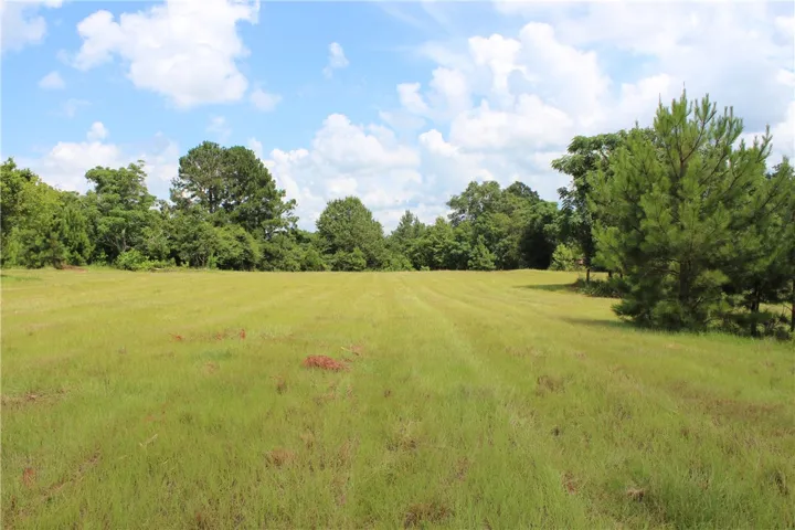 A tranquil, spacious grassy field awaits your future dream home.