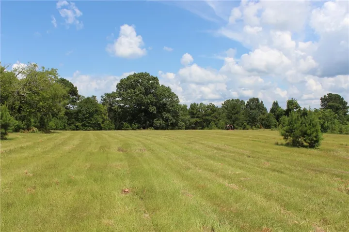 Green pastures await your vision for a secluded estate or thriving agricultural venture.