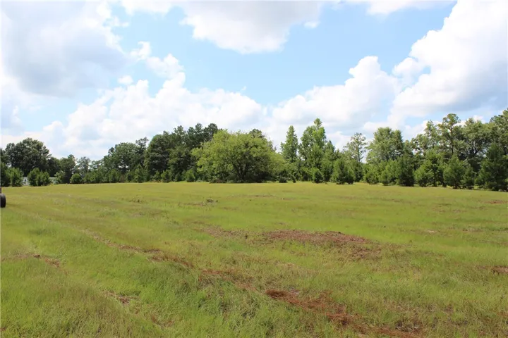 A verdant, open field with a diverse treeline under a bright, cloud-dotted sky awaits development.