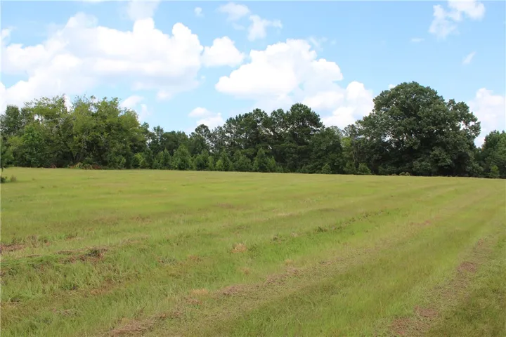 Green pastures and mature trees stretch beneath a blue sky, offering a peaceful, rural setting.