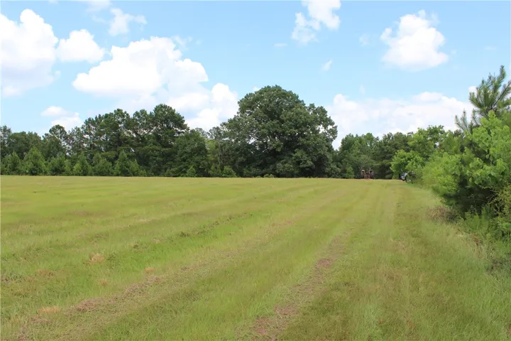 A sprawling green pasture framed by mature trees, offering vast open space under an expansive sky.