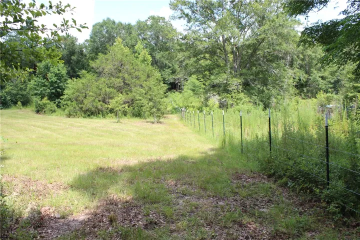 Mature trees and open grassy areas define this expansive lot, perfect for your vision of home.