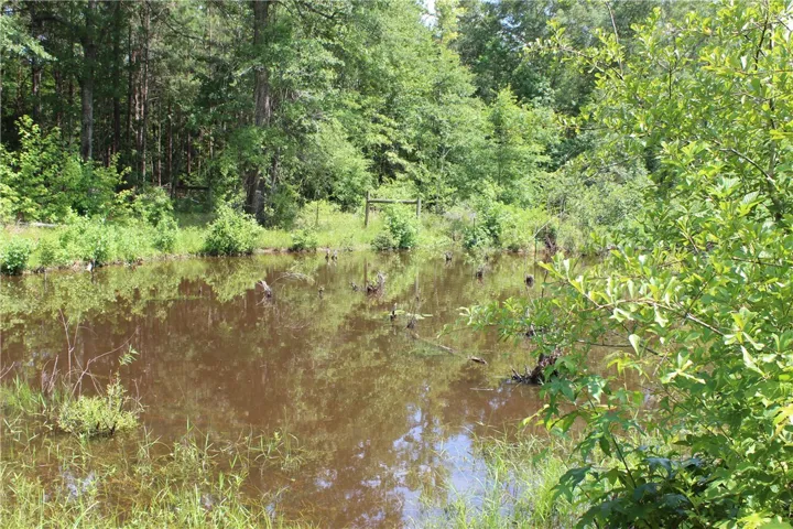 A tranquil pond awaits, surrounded by lush, verdant foliage and mature trees.