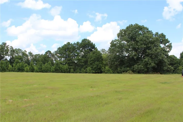 A verdant, open field extends to a lush tree line under a summer sky.