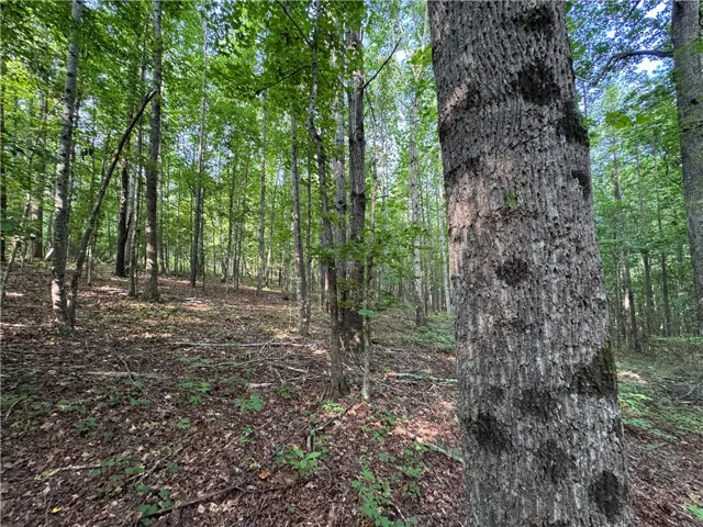 3850 County Road 70 N/a, Camp Hill, Alabama 36850