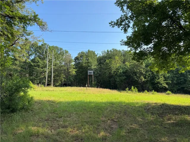 3850 County Road 70 N/a, Camp Hill, Alabama 36850