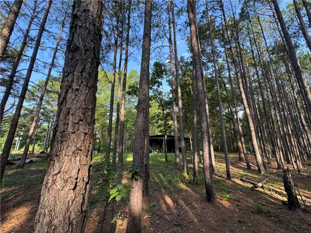 3850 County Road 70 N/a, Camp Hill, Alabama 36850