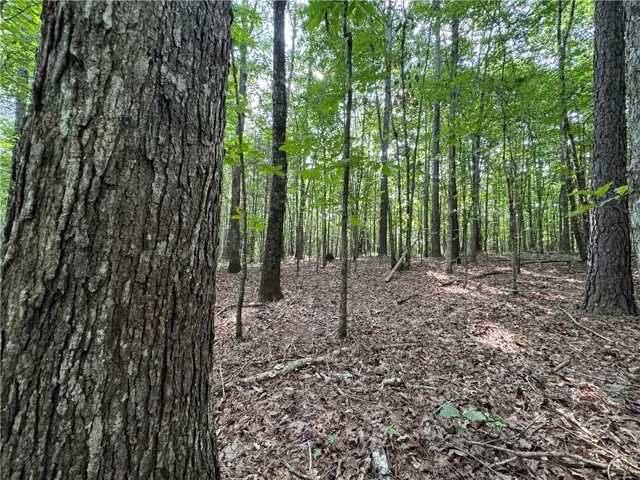 3850 County Road 70 N/a, Camp Hill, Alabama 36850