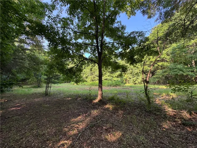 3850 County Road 70 N/a, Camp Hill, Alabama 36850