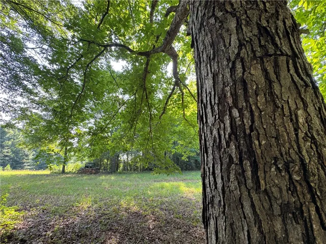 3850 County Road 70 N/a, Camp Hill, Alabama 36850