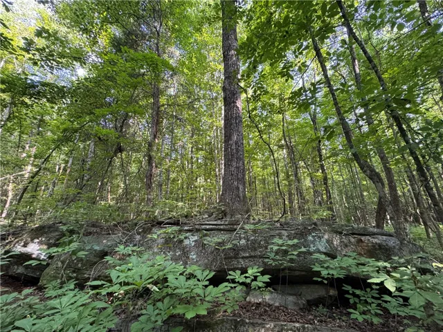 3850 County Road 70 N/a, Camp Hill, Alabama 36850