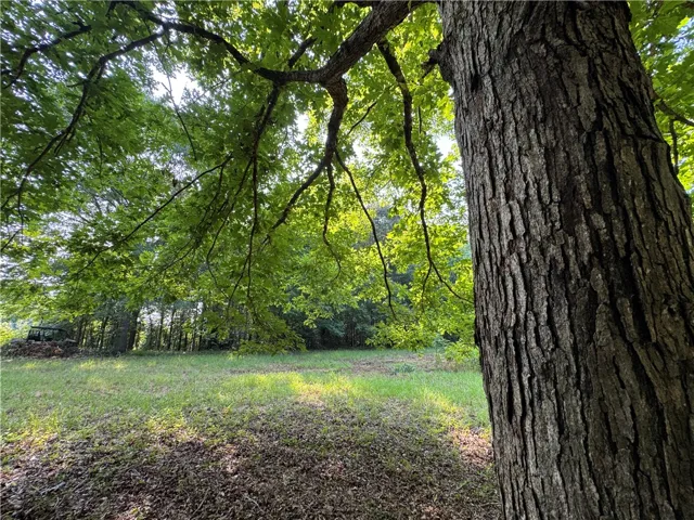 3850 County Road 70 N/a, Camp Hill, Alabama 36850
